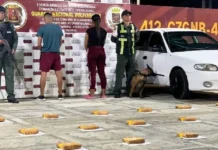 Detenida pareja en Puerto Cabello por cargar panelas de droga