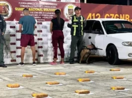 Detenida pareja en Puerto Cabello por cargar panelas de droga