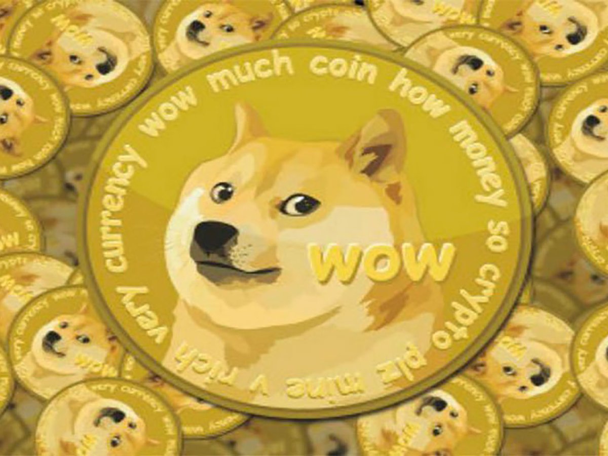 shiba inu coin