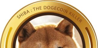 shiba-inu-dogecoin