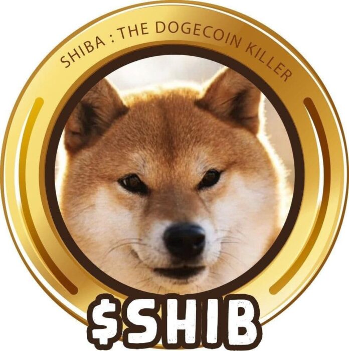 shiba-inu-dogecoin