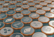 fenómeno del bitcoin