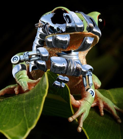 xenobots