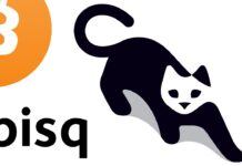 exchange de bitcoin Bisq