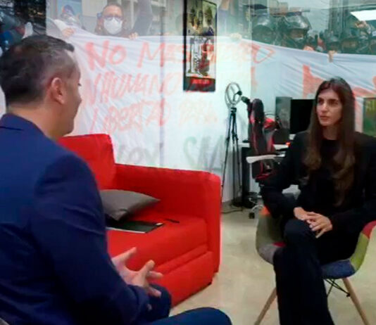 Entrevista camilla Fabri de Saab
