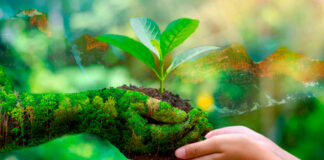 Yibram Saab Fornino Naturaleza