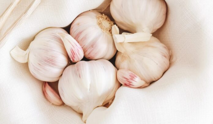 Beneficios del ajo