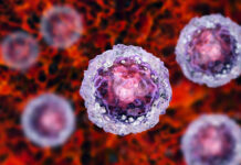 células madre pluripotenciales - CMIDE