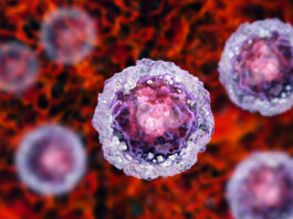 células madre pluripotenciales - CMIDE