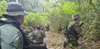 Tren del Llano cobra vacuna en Guárico