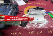 Detienen a 46 sujetos con 15 panelas de cocaína en Aeropuerto Internacional de Maiquetía