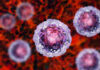 células madre pluripotenciales - CMIDE