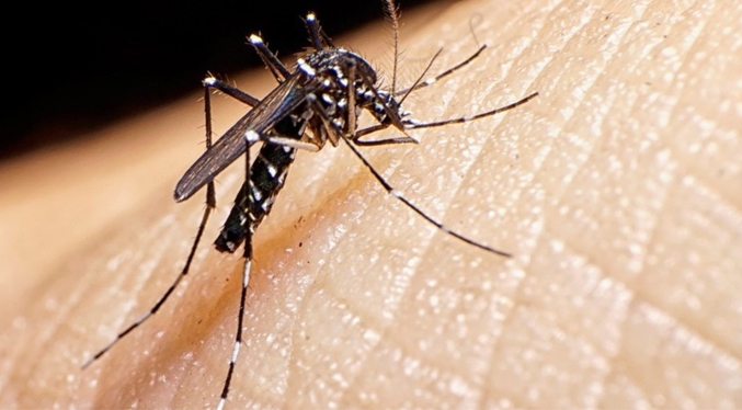 Argentina vive el brote mas histórico de dengue