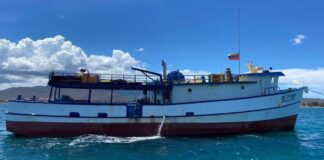 Fanb, incauto embarcación, con 2600, litros de combustible en Margarita