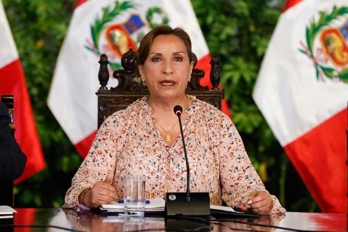 Peruanos rechazan a Dina Boularte