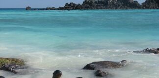 Ecuador realiza canje de su deuda para conservar las Islas Galápagos